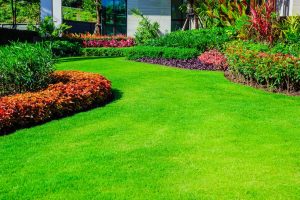Jak zadbać o przydomowy trawnik wiosenną porą? – poradnik
