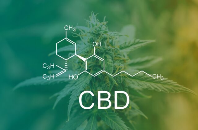Jakie zastosowanie mają olejki CBD?