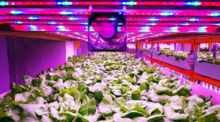 TD Silent – zalety i zastosowanie