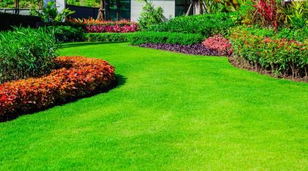 Jak zadbać o przydomowy trawnik wiosenną porą? – poradnik