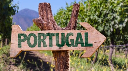 Idealne na lato portugalskie wino