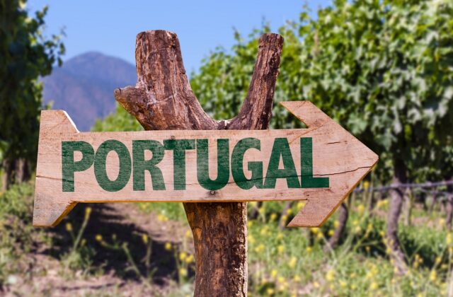wino portugalskie