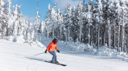 Ekwipunek początkującego narciarza – jakie elementy powinny się w nim znaleźć?
