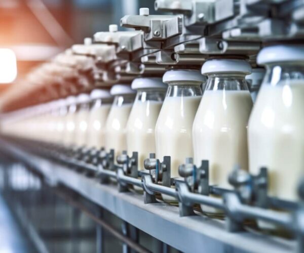 Jakie są zalety automatyzacji procesu dojenia?